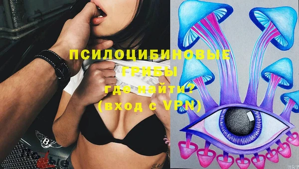 PSILOCYBIN Богородицк