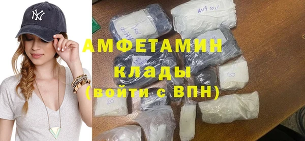 сатива Баксан