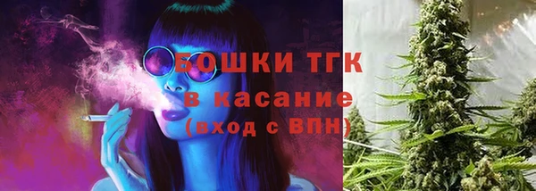 стафф Богородск