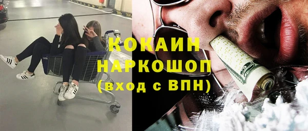 PSILOCYBIN Богородицк