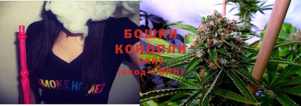 PSILOCYBIN Богородицк