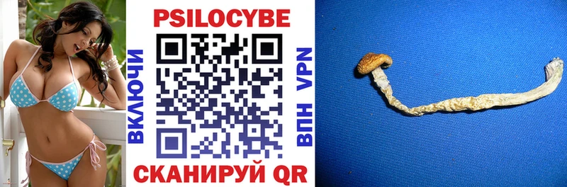 Псилоцибиновые грибы GOLDEN TEACHER  Хадыженск 